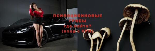 экстази Горняк