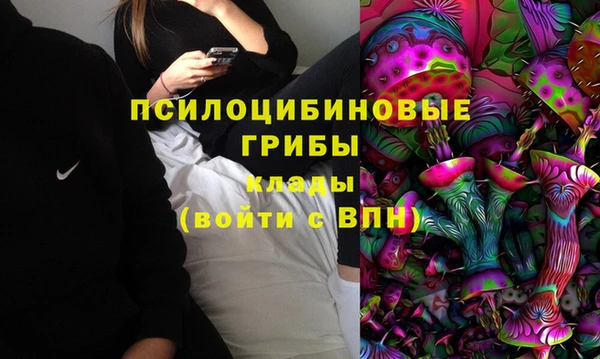 гашиш Горнозаводск