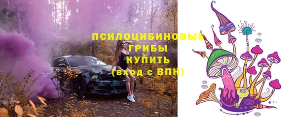 экстази Горняк