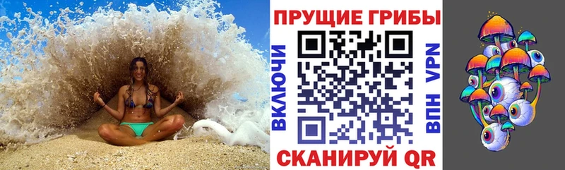 Купить  Няндома  Галлюциногенные грибы ЛСД 
